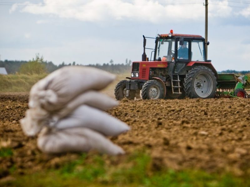 Vyriausybė pritarė žemės ūkio rizikos valdymo fondų kūrimo sąlygoms