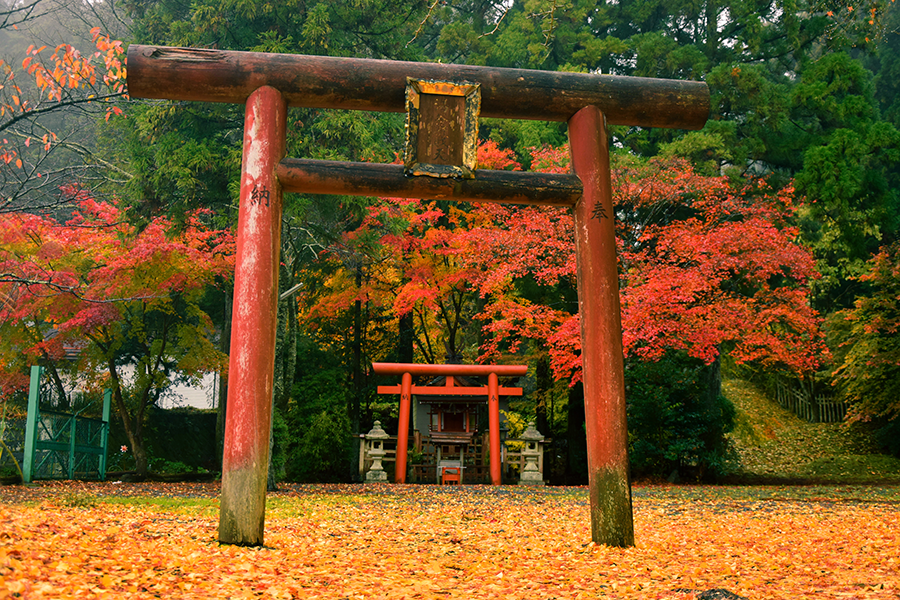 Kauniečio meilė Japonijai: nuo išsidrožtų lazdelių iki rimtų studijų