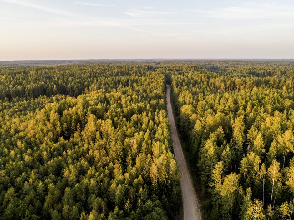 EK pozicija gali paskatinti naujas diskusijas dėl miško įsigijimo ribojimų Lietuvoje