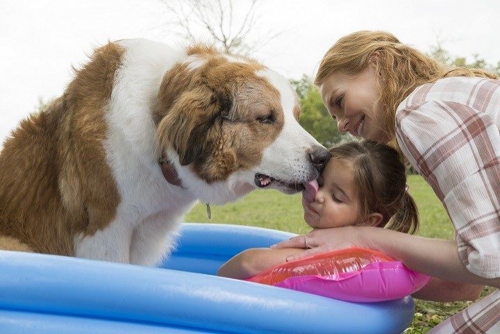 Filmo „Šuns tikslas 2“ režisierė: gyvūnai yra geriausia terapija