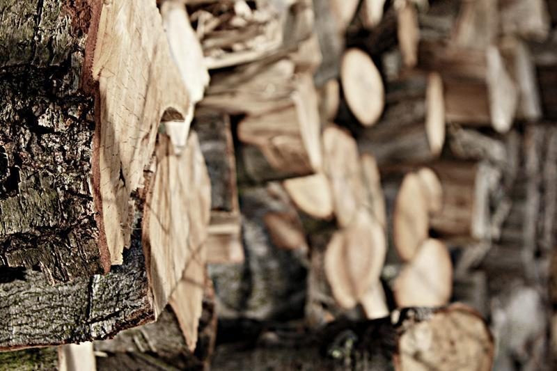 Kaune registruotos įmonės vadovo byla dėl apgaule įgytos medienos keliauja į teismą