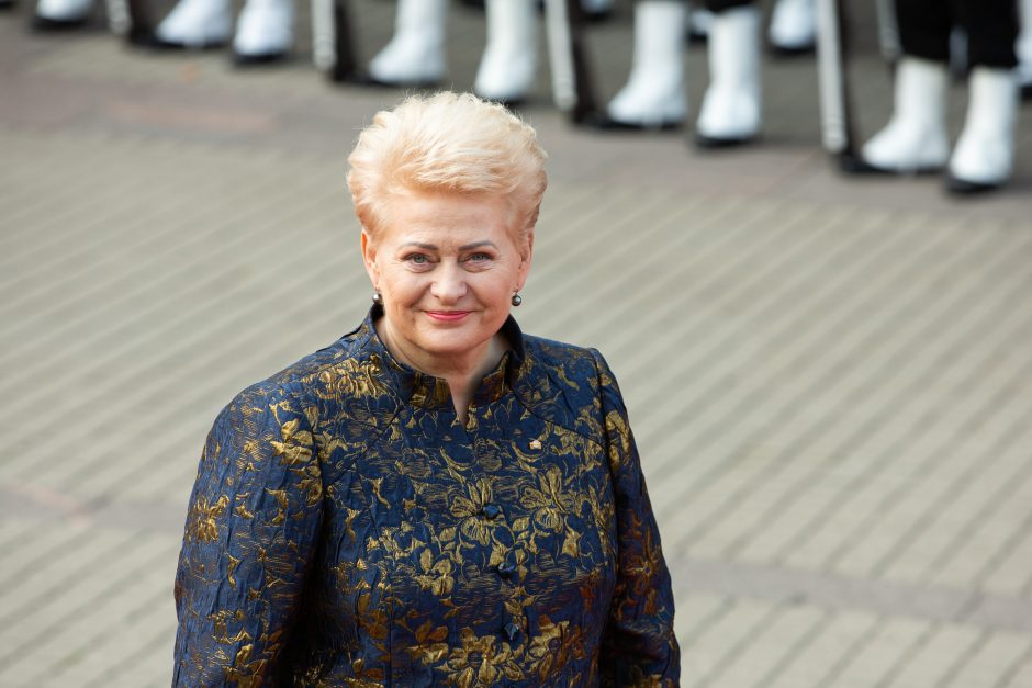D. Grybauskaitė: Baltijos kelias nesibaigia