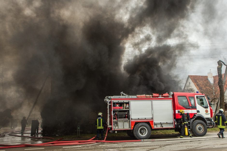 Garliavos penkiaaukštyje kilo gaisras: teko evakuoti dešimtis žmonių, žuvo gyvūnai