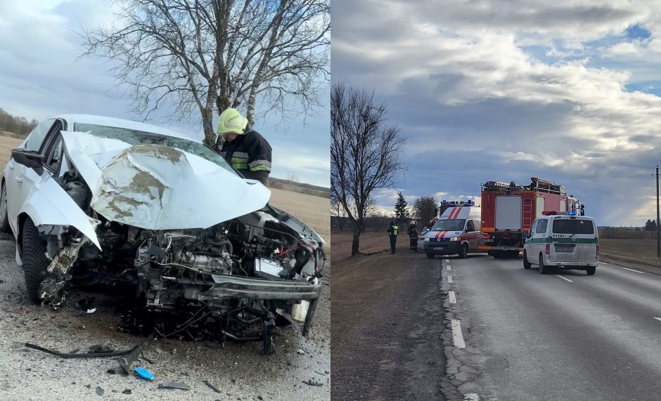 Nelaimė Panevėžio rajone: merginos vairuojamas „Seat“ rėžėsi į medį 