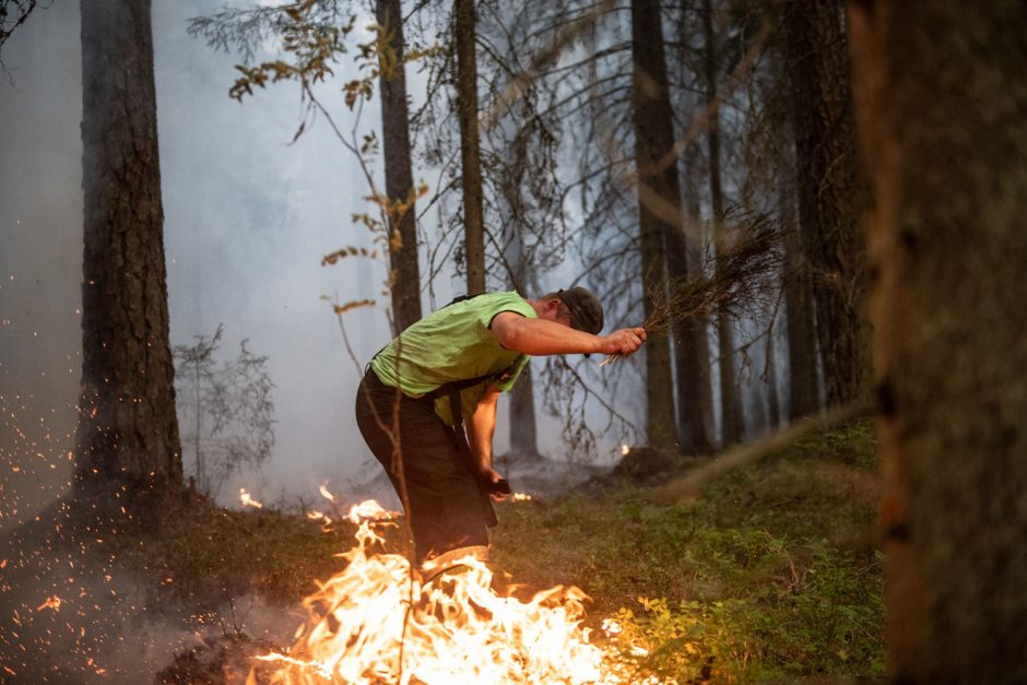 Į Šilainius lėkė ugniagesiai: miškelyje kilo gaisras
