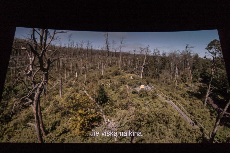 Kaune pristatytas laurus skinantis lietuviškas filmas „Rūgštus miškas“
