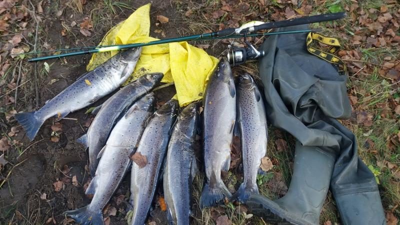 Per tris mėnesius – šimtai žvejybos pažeidimų ir konfiskuotų įnagių