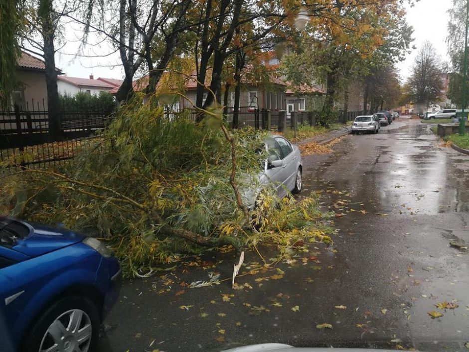 Pajūryje stiprėja vėjas: laužomos medžių šakos, apgadintas BMW