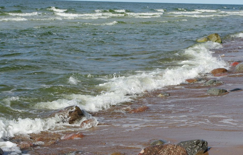 Įdėmiau stebės Baltijos jūros aplinką