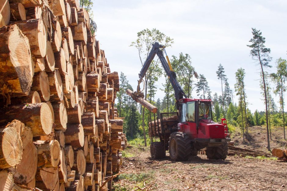 Pagrindinė išaugusių medienos kainų priežastis – Latvija