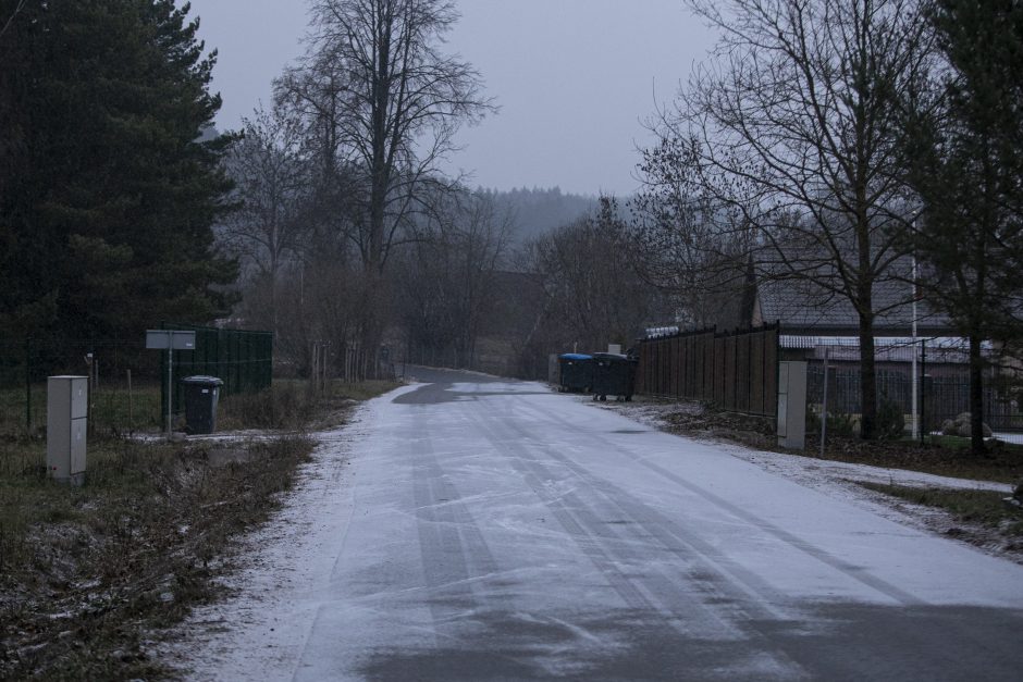 R. Karbauskis apie asfaltuojamą premjero kelią: konservatoriai pamoką gavo