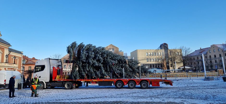 Klaipėdos Kalėdų eglė – jau Teatro aikštėje