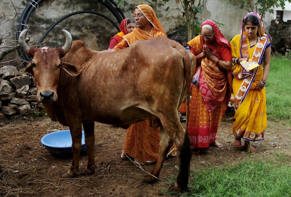 Indijoje nulinčiuoti du karves vežę musulmonai
