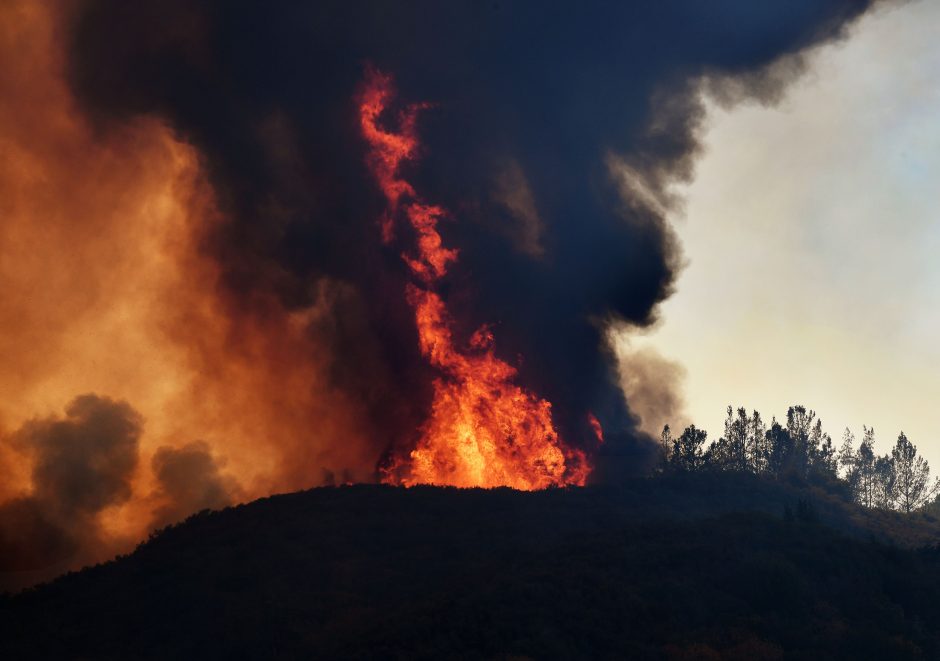 Kalifornijoje siaučia miškų gaisrai