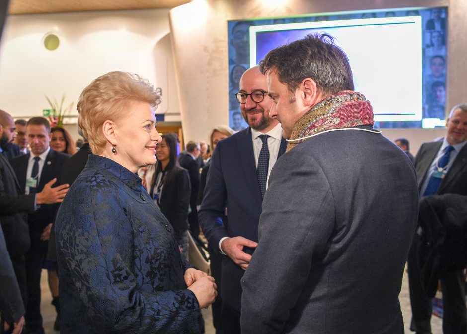 D. Grybauskaitė: Lietuva šiemet turėtų būti pakviesta į EBPO