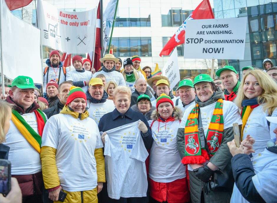D. Grybauskaitė Briuselyje kovos už Lietuvos ūkininkus 