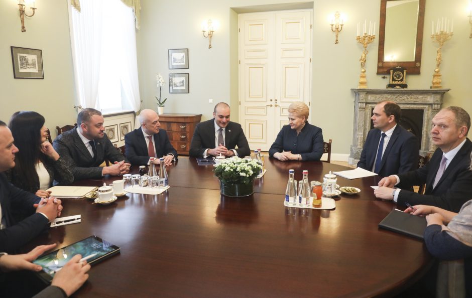 Lietuvos vadovai susitiko su Sakartvelo premjeru