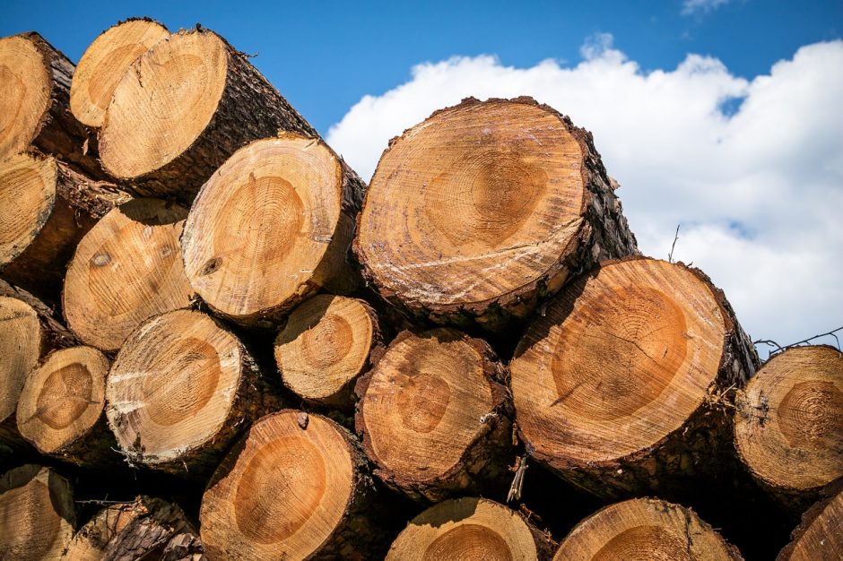 S. Gentvilas: Į Lietuvą importuojama baltarusiška mediena gali būti radioaktyvi