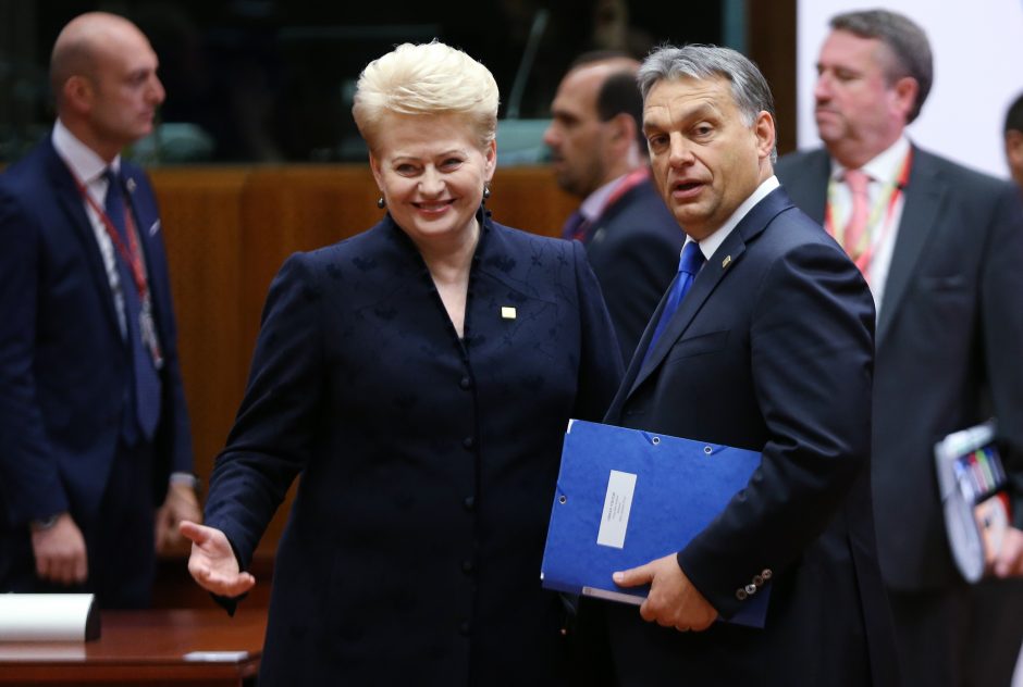 D. Grybauskaitė: demokratinė Ukraina – visos Europos interesas