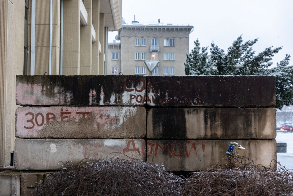 A. Širinskienei susirūpinus barikadų apsauga, Seimas primena, kad jos ten nuo 2007-ųjų 