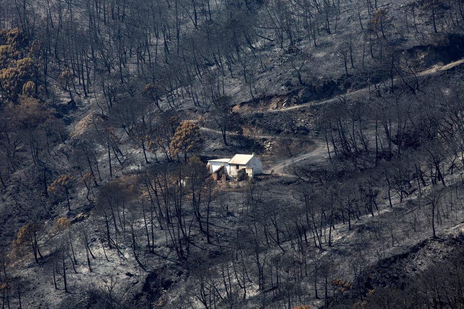 Ispanija po septynių dienų suvaldė didžiulį miško gaisrą
