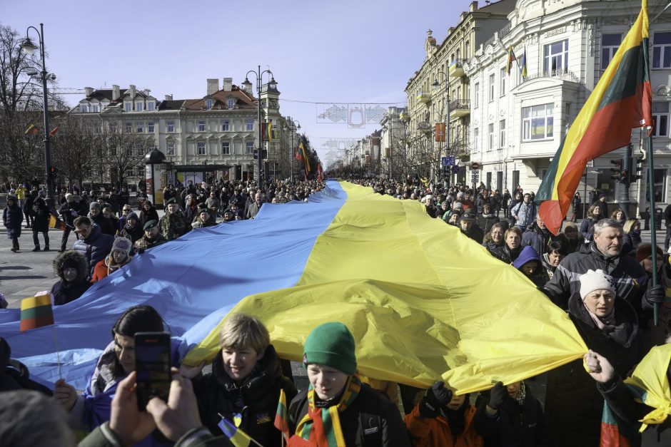 R. Tamašunienė apie Lietuvos ir Lenkijos parlamentarų pareiškimą: mes esame su ukrainiečiais