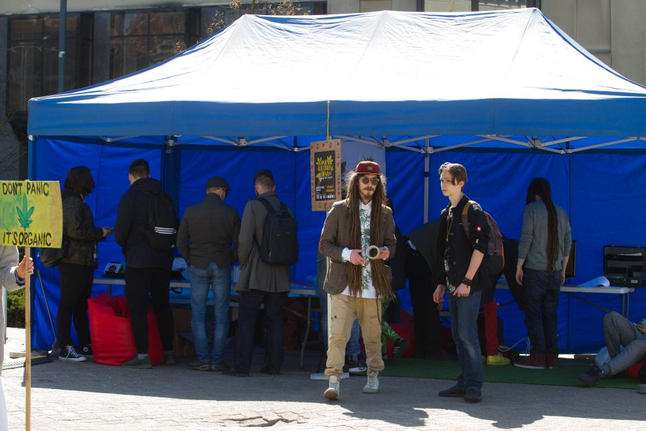 Prie Seimo kanapių entuziastai rengia Kanapių kultūros dieną