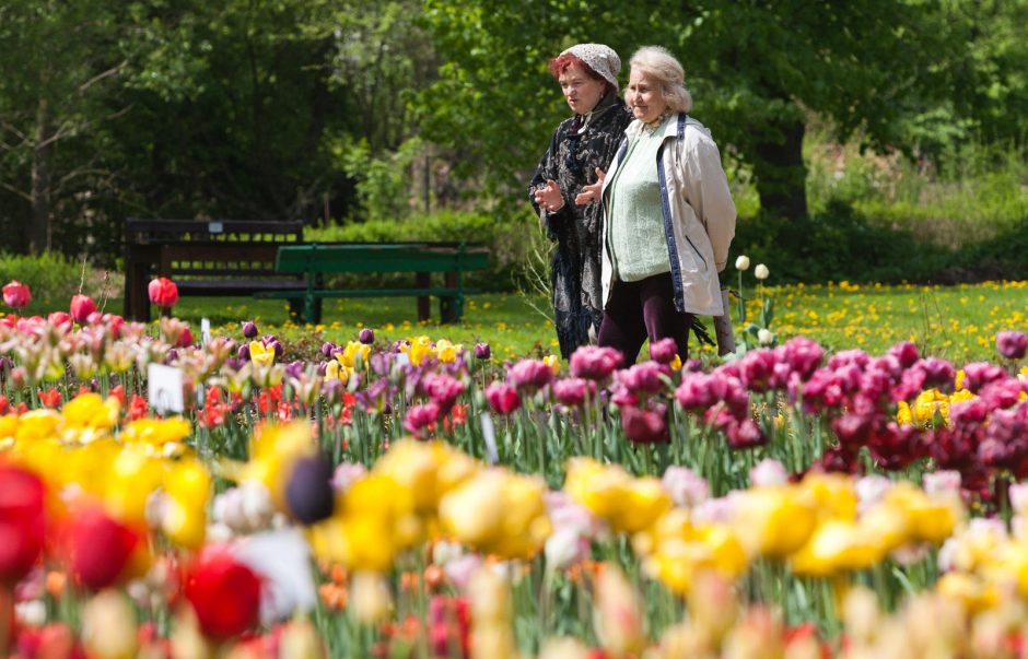 Seimas dar neapsisprendė dėl kompensacijų dirbusiems pensininkams