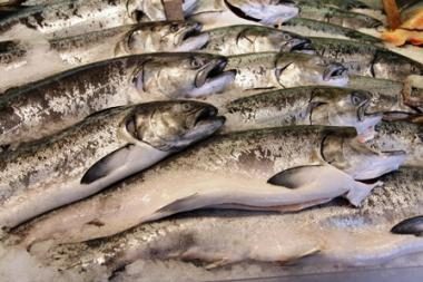 Baltarusija neigia ketinimus uždrausti žuvų produktų importą iš Latvijos ir Estijos