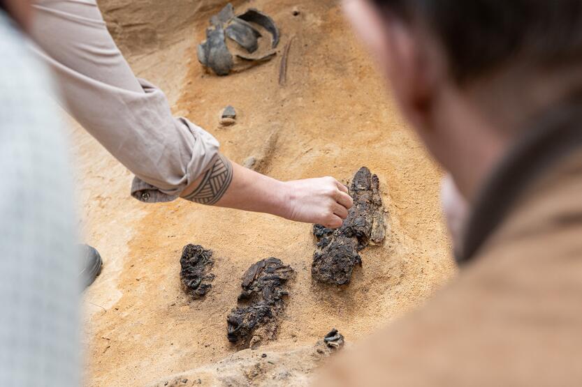 Verkių dvarvietėje pristatomas archeologinis atradimas