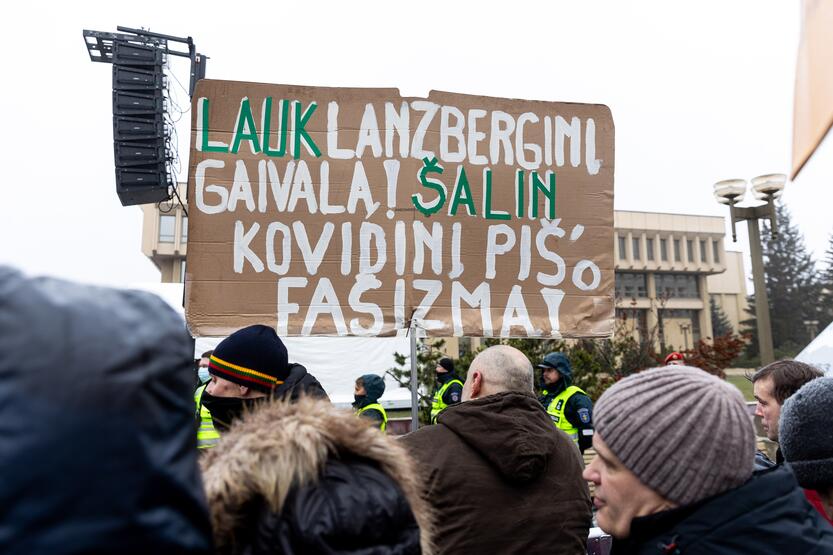 Protestas prie Seimo Sausio 13-ąją