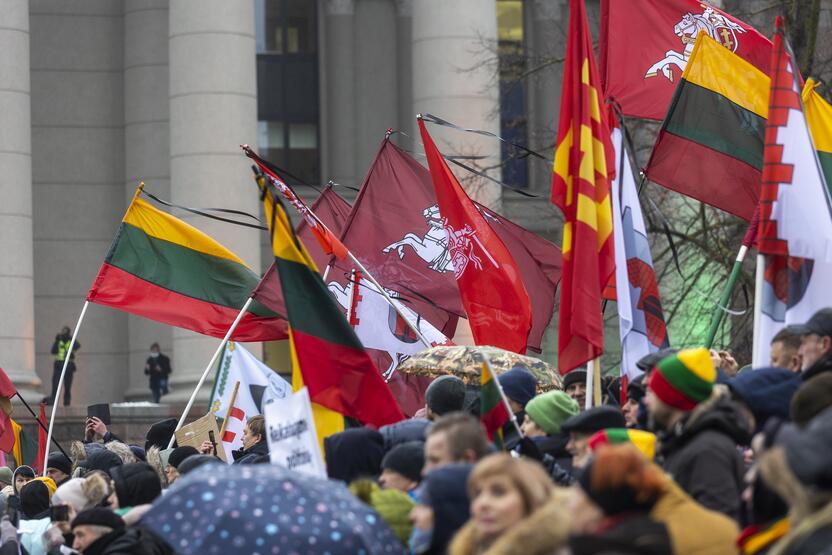 Protestas prie Seimo Sausio 13-ąją