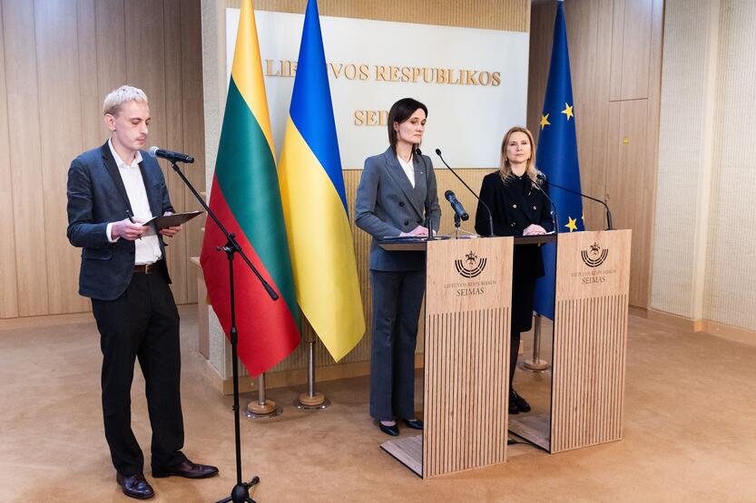 Seimo pirmininkės ir Ukrainos vicepirmininkės spaudos konferencija