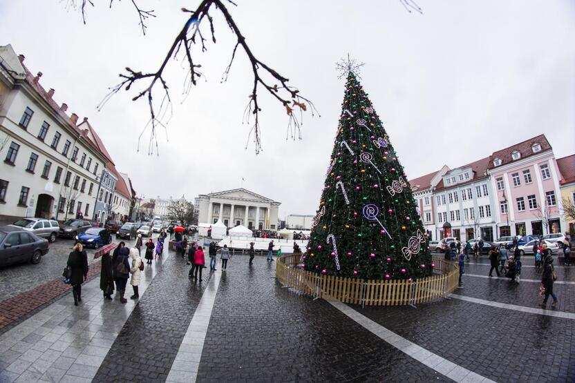 Kalėdų eglutės įžiebimas Vilniaus rotušėje