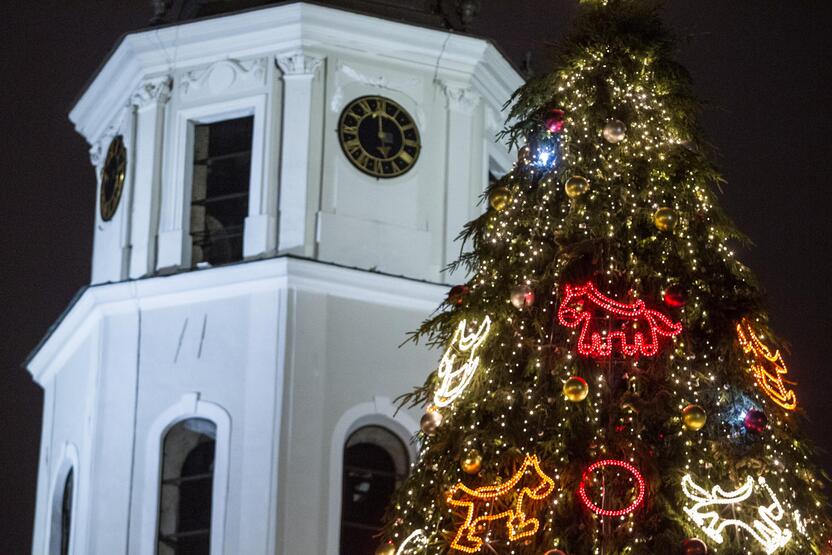 Vilniuje Katedros aikštėje įžiebta Lietuvos Kalėdų eglė