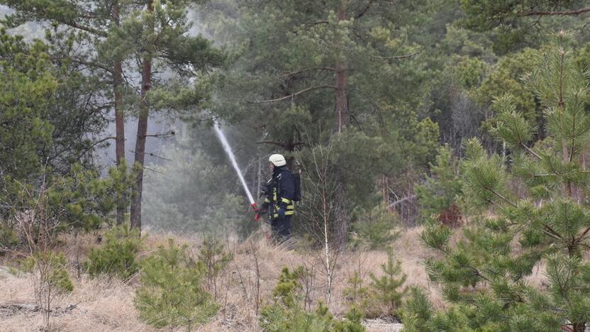 Kuršių nerijoje – miško gaisro imitacija