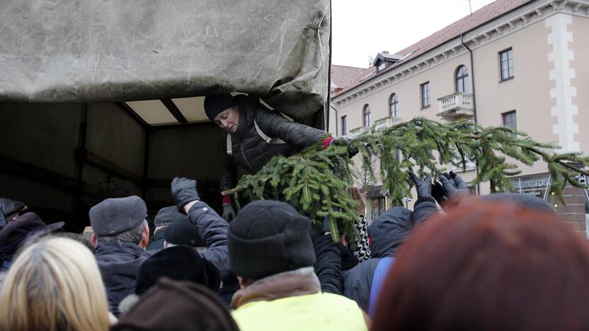 Teatro aikštėje dalinamos eglutės šakos