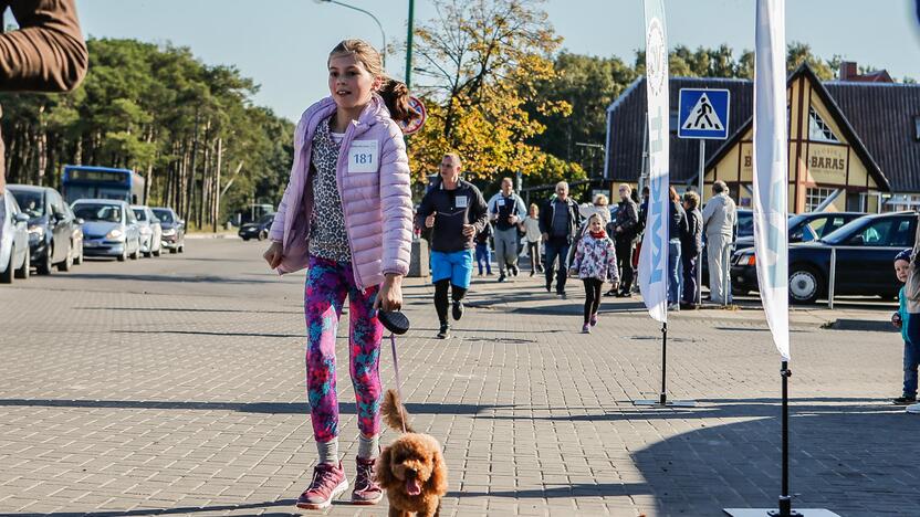 Šeimos pramogų uostas 2017