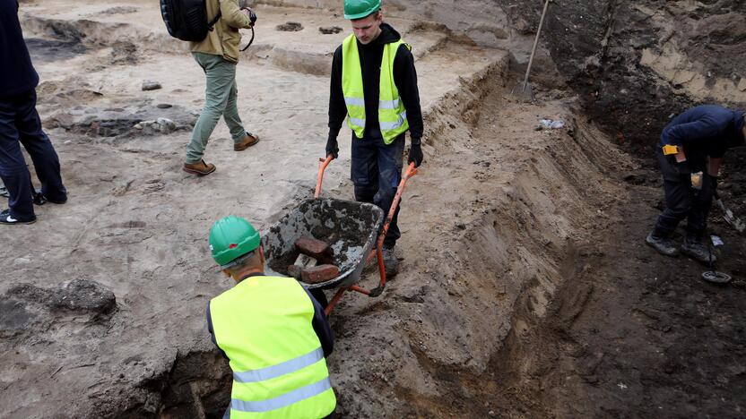 Archeologiniai kasinėjimai piliavietėje