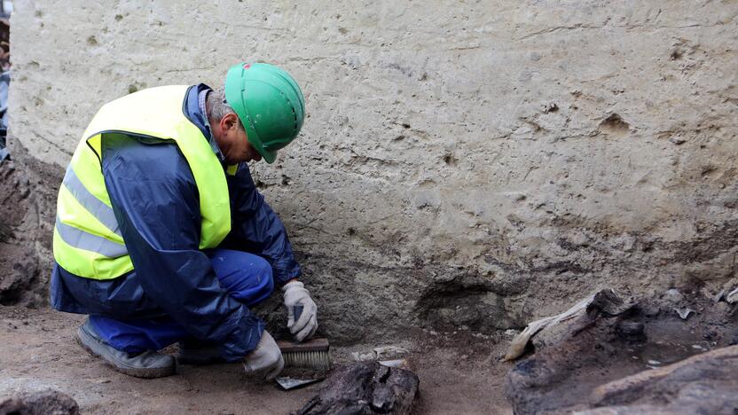 Archeologiniai kasinėjimai piliavietėje