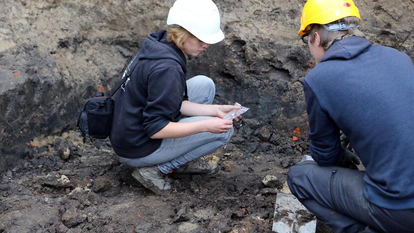 Archeologiniai kasinėjimai piliavietėje