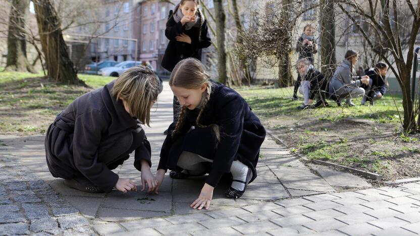 Klaipėdoje atidengta lenta Izraelio vėliavos autoriui