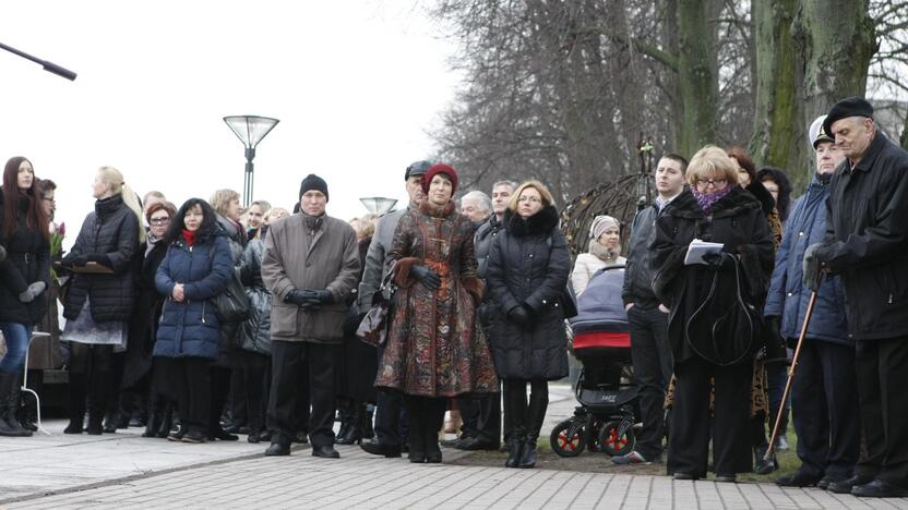 Danės pakrantę papuošė undinėlė