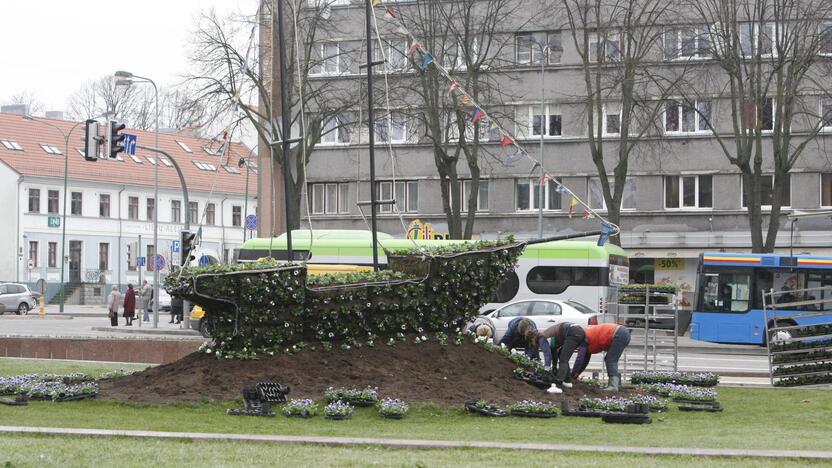 Klaipėdos miestui – madingi gėlynai