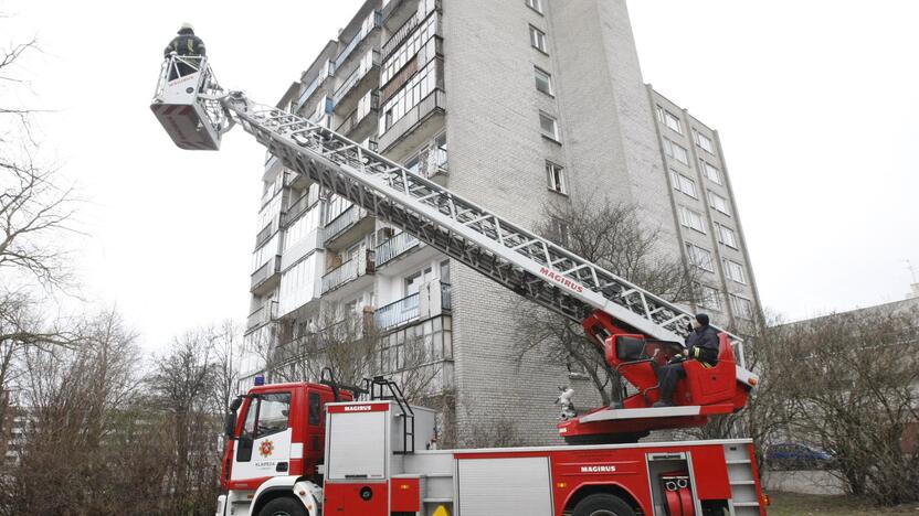 Moters gelbėjimo operacija Klaipėdoje