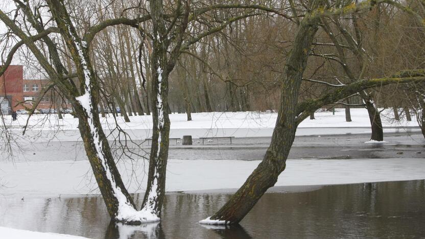 Ieškoti sliekų - į parką