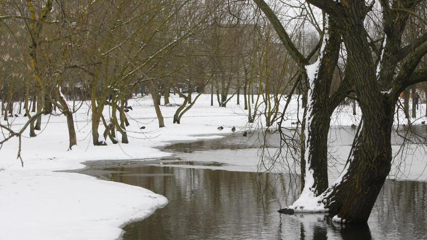 Ieškoti sliekų - į parką