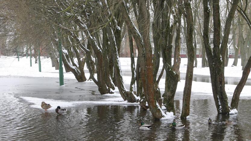 Ieškoti sliekų - į parką