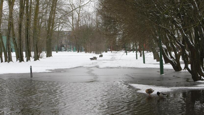 Ieškoti sliekų - į parką