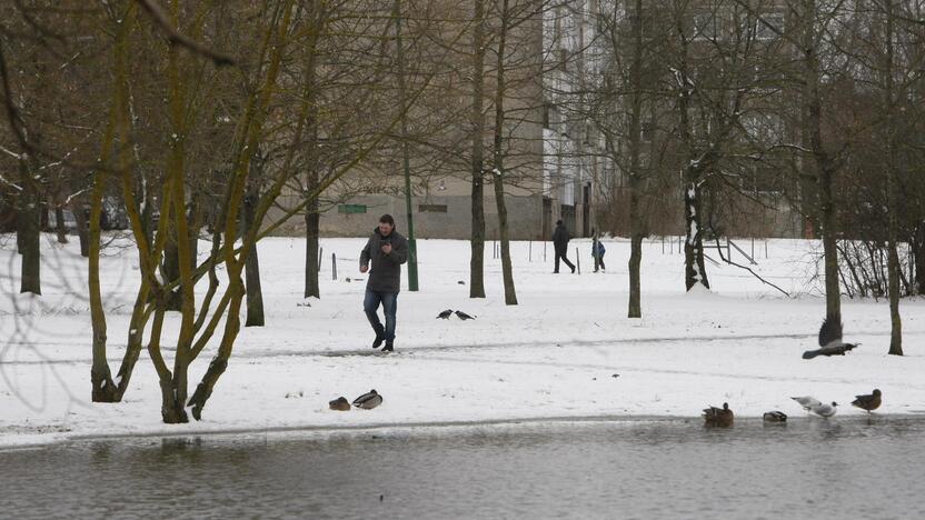 Ieškoti sliekų - į parką